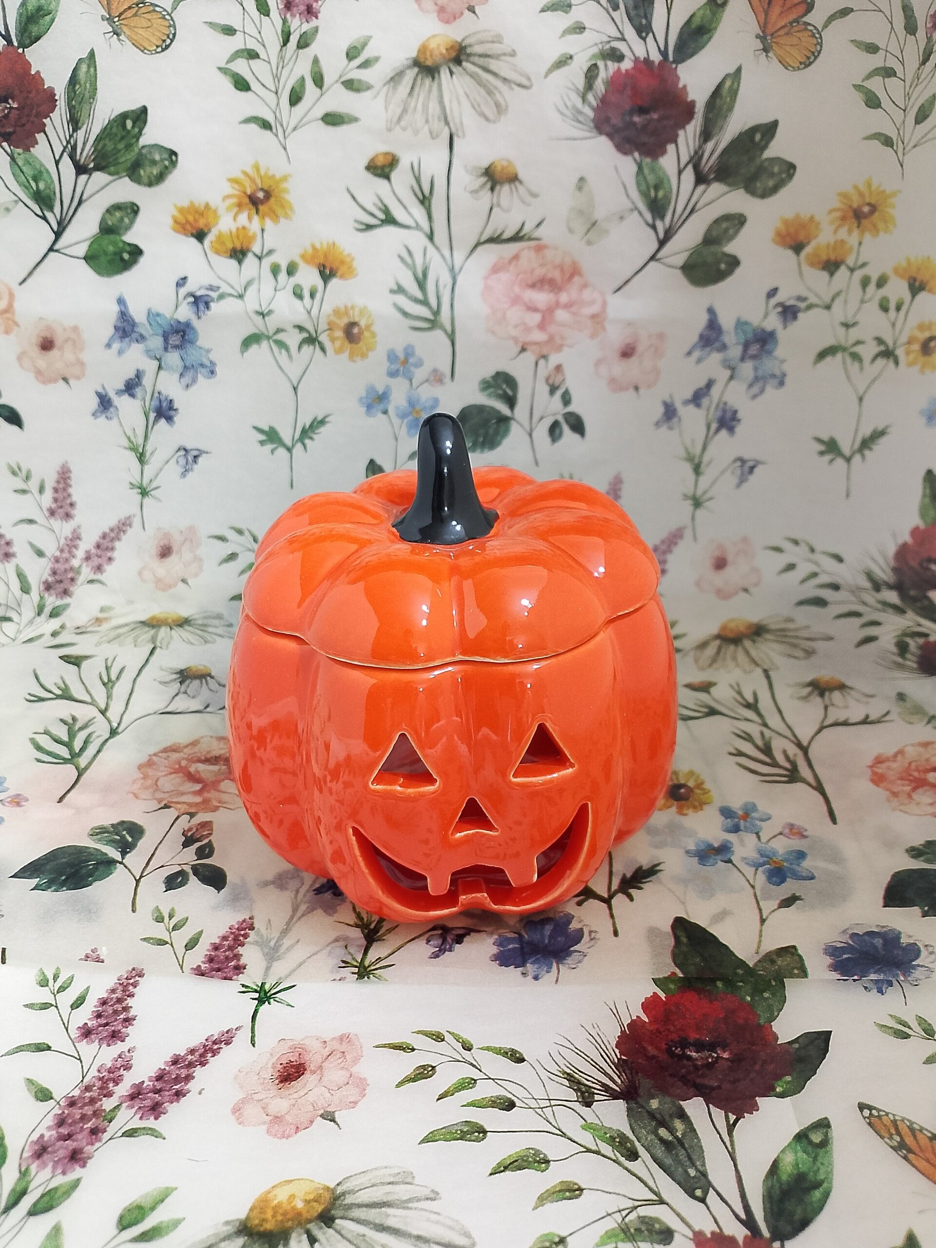Quemador calabaza naranja - 1