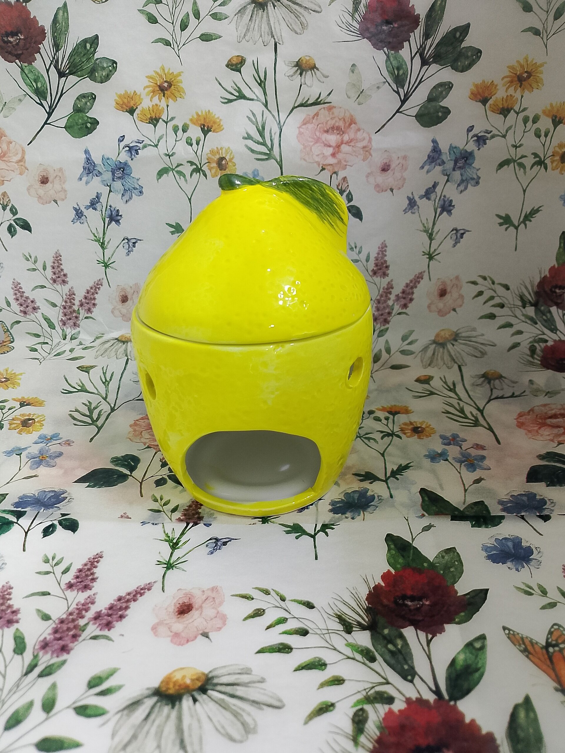 Quemador limon - 2
