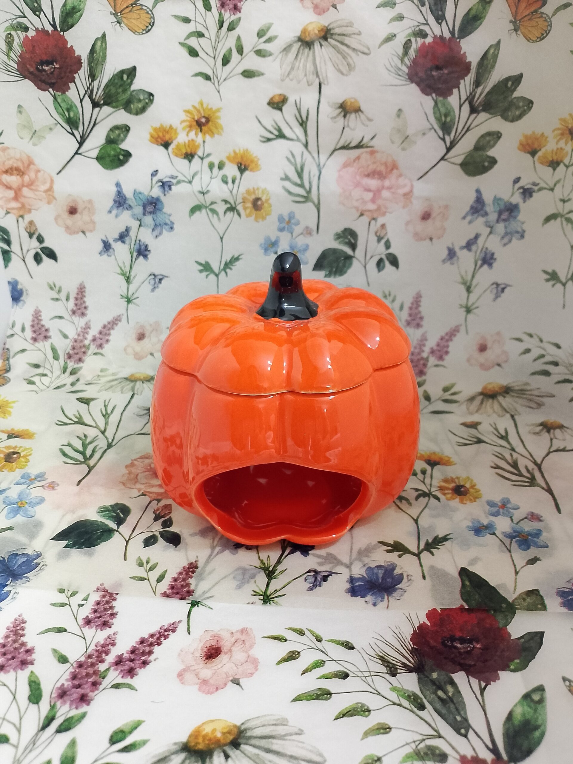 Quemador calabaza naranja - 2